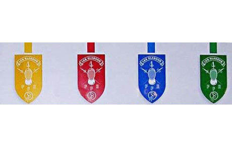 BILAN DES BLASONS 2015 avec lien photo...